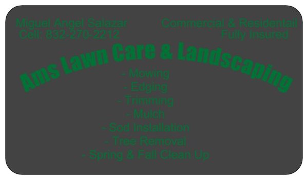 AMS Lawn Care & Landscaping