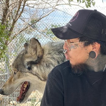 Wolf Mountain Sanctuary - Animal Shelters Near Me - Lucerne Valley, California Wolf Mountain Sanctuary - Animal Shelters Near Me - Lucerne Valley, California