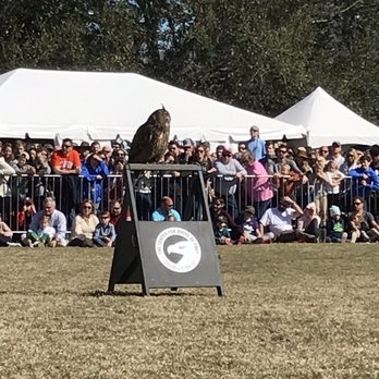 Southeastern Wildlife Exposition - Birds of prey - Festivals Near Me - Charleston, South Carolina Southeastern Wildlife Exposition - Birds of prey - Festivals Near Me - Charleston, South Carolina