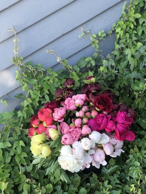 Wildflower & Fern by null