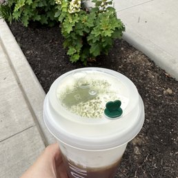 Iced roasted oolong with cheese foam