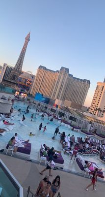 Boulevard Pool by null