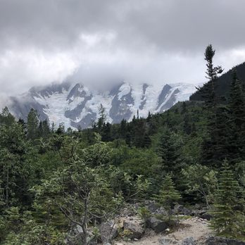 Packer Expeditions - Glacier - Tours Near Me - Skagway, Alaska Packer Expeditions - Glacier - Tours Near Me - Skagway, Alaska