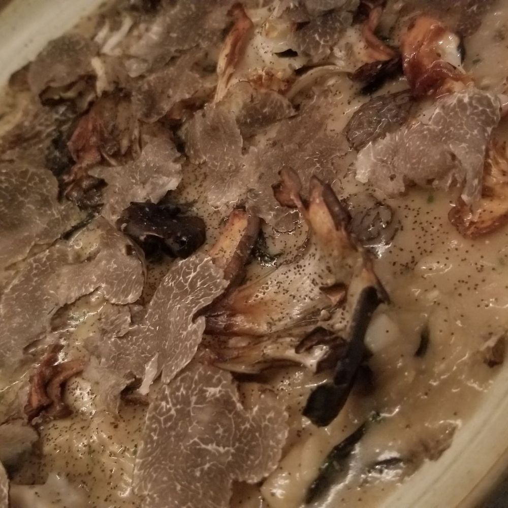 Osteria Giulia - Mushroom risotto with wild mushroom and truffle. - Italian Near Me - Toronto, Ontario Osteria Giulia - Mushroom risotto with wild mushroom and truffle. - Italian Near Me - Toronto, Ontario