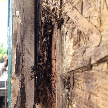 Paul Davis Restoration & Remodeling - Damage after improper repair - Damage Restoration Near Me - Lincoln, Nebraska