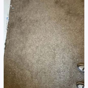 On Q Property Management - Second picture of carpet On Q's evidence of what they claim needs carpet needs replacement - Property Management Near Me - Gilbert, Arizona