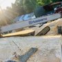 Photo of Fast Tree Service