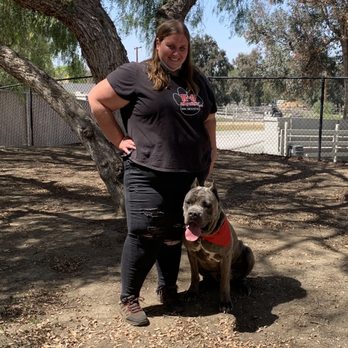 K9 Companions - Pet Training Near Me - Perris, California K9 Companions - Pet Training Near Me - Perris, California