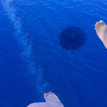 UFO Parasail - The water is so blue! - Boat Charters Near Me - Lahaina, Hawaii UFO Parasail - The water is so blue! - Boat Charters Near Me - Lahaina, Hawaii
