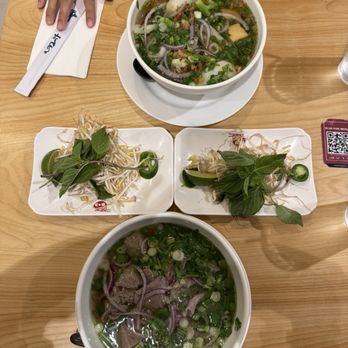 Pho 813 - P3. Beef Deluxe Pho H5. Tofu and Vegetables Egg Noodle Soup - Vietnamese Near Me - Tampa, Florida Pho 813 - P3. Beef Deluxe Pho H5. Tofu and Vegetables Egg Noodle Soup - Vietnamese Near Me - Tampa, Florida