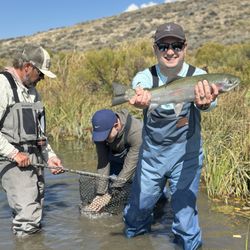 Cutthroat Anglers - Rainbow Trout