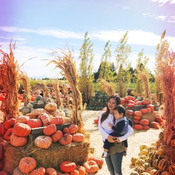 Larry's Produce - Fruits & Veggies Near Me - Fairfield, California Larry's Produce - Fruits & Veggies Near Me - Fairfield, California