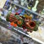 Photo of Freakys Smoke Shop - Parker
