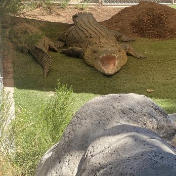 Phoenix Herpetological Society - Smile! - Community Service/Non-Profit Near Me