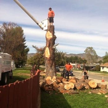 Kens Tree Service - Tree Services Near Me - Nuevo, California Kens Tree Service - Tree Services Near Me - Nuevo, California
