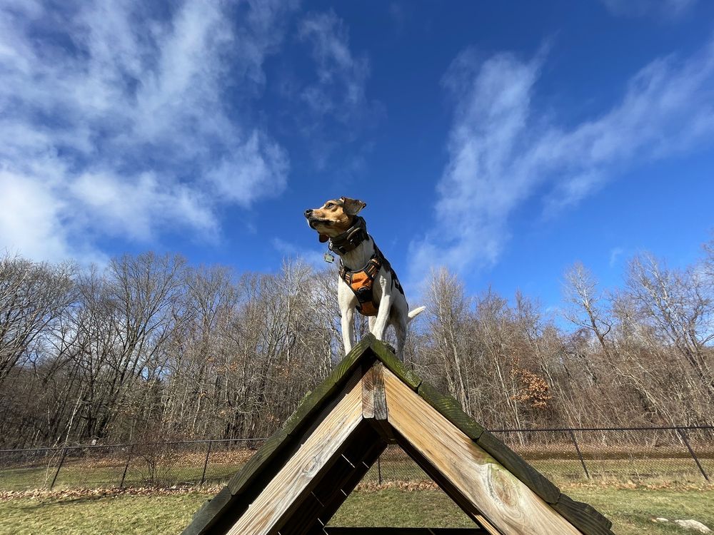 Butler Farm Dog Park Logo