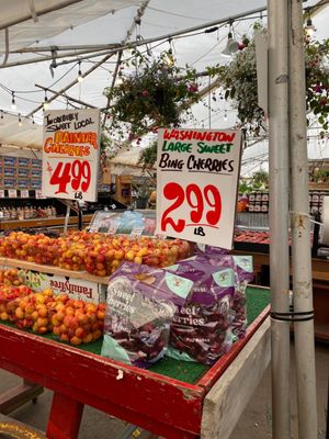 Newcastle Fruit & Produce Co. by null
