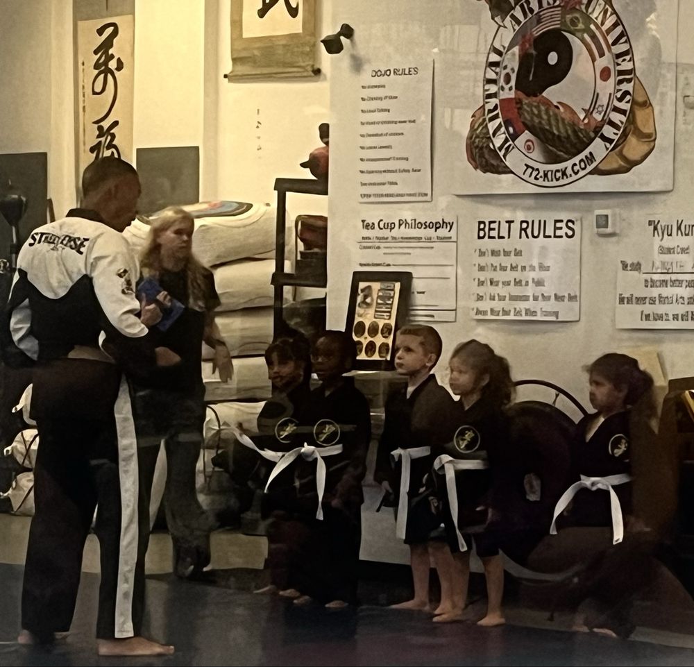 Martial Arts University Logo