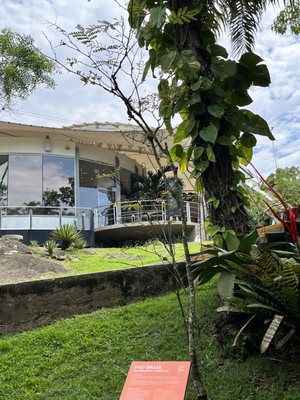 Sugar Loaf cable car by null