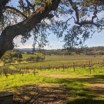 White Rock Vineyards - Wineries Near Me - Napa, California White Rock Vineyards - Wineries Near Me - Napa, California