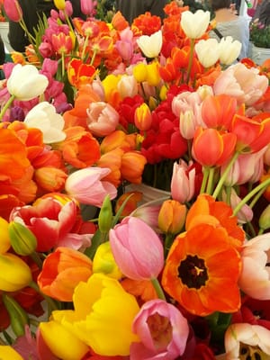 Temescal Farmer's Market by null
