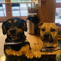 Dexter and Dayla