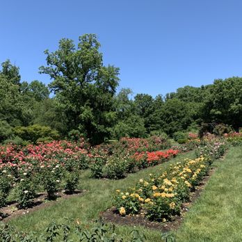 Bon Air Park - Tennis Near Me - Arlington, Virginia