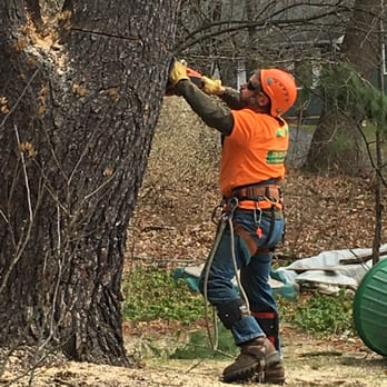 Pridemark Tree Services - Gutter Services Near Me