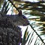 Photo of Parchi di Nervi