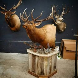 Hollingoutbone - Barnwood pedestal