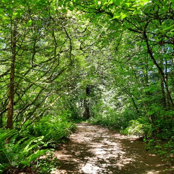 Lacamas Creek Trail - Hiking Near Me - Camas, Washington Lacamas Creek Trail - Hiking Near Me - Camas, Washington