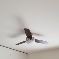 Raphael Electric