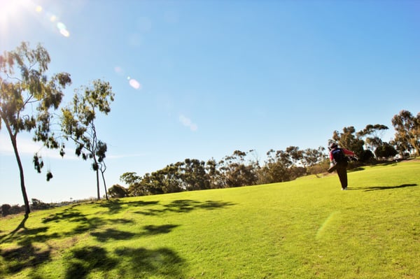 Goat Hill Park Golf Course by null