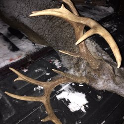 Duma Deer Processing