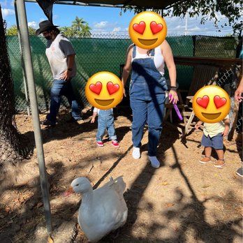 The Little Farm - Petting zoo - Pumpkin Patches Near Me - Miami, Florida The Little Farm - Petting zoo - Pumpkin Patches Near Me - Miami, Florida