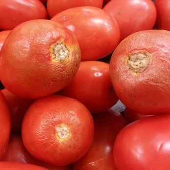 Publix - Here's some of the "prized" produce people keep talking about. I watched a guy restock the tomato section with this crap. - Grocery Near Me - Atlanta, Georgia