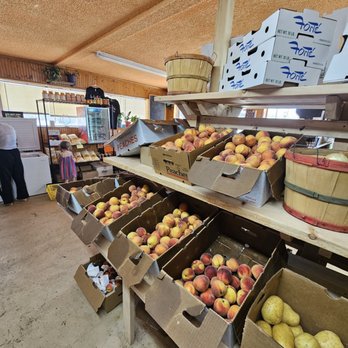 Forte Farms - Peaches & potatoes - Fruits & Veggies Near Me - Englewood, Colorado Forte Farms - Peaches & potatoes - Fruits & Veggies Near Me - Englewood, Colorado