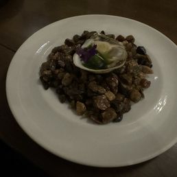 Oyster Oyster