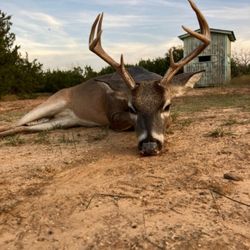 Jamie Nichols Outfitters