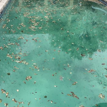 Pool Aid - Pool Cleaners Near Me - Royse City, Texas Pool Aid - Pool Cleaners Near Me - Royse City, Texas