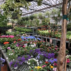Westminster Nursery & Garden Center