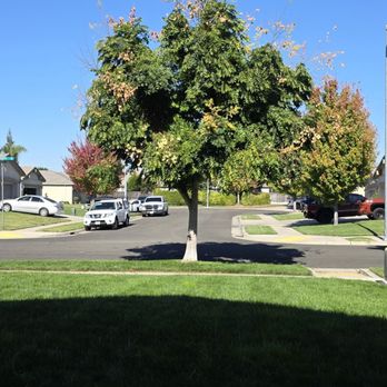 Ramirez Landscaping - BEFORE - Landscaping Near Me - Stockton, California Ramirez Landscaping - BEFORE - Landscaping Near Me - Stockton, California