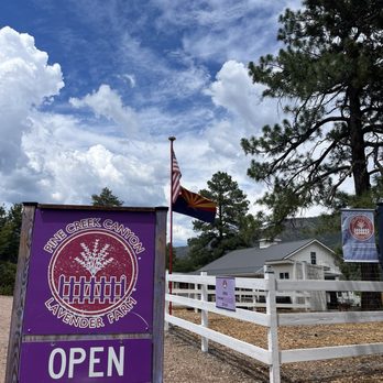 Pine Creek Canyon Lavender Farm - Farms Near Me - Pine, Arizona