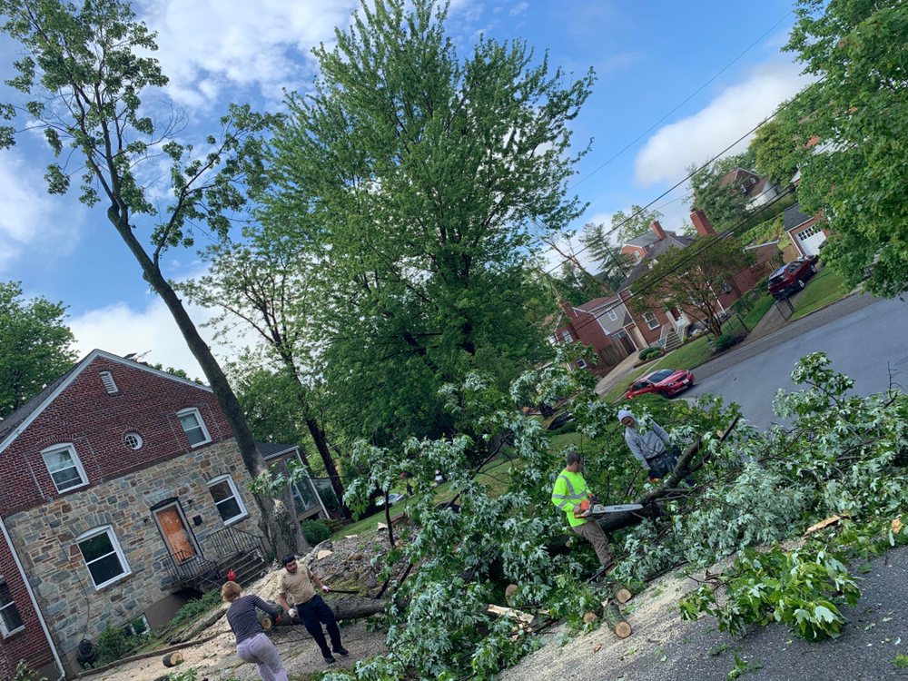 Slide of Bonilla Lumber Jacks