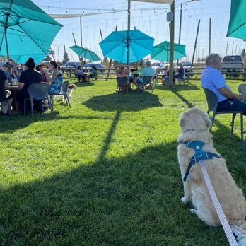 TopWire Hop Project - Good beer. Good dogs. - Beer Gardens Near Me - Woodburn, Oregon