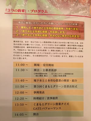 Hotel Nikko Kumamoto by null