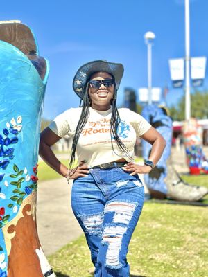 Houston Livestock Show and Rodeo by null