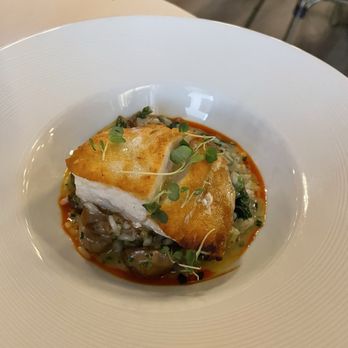 Petar's Restaurant - Corvina with risotto - Seafood Near Me - Bonita Springs, Florida Petar's Restaurant - Corvina with risotto - Seafood Near Me - Bonita Springs, Florida