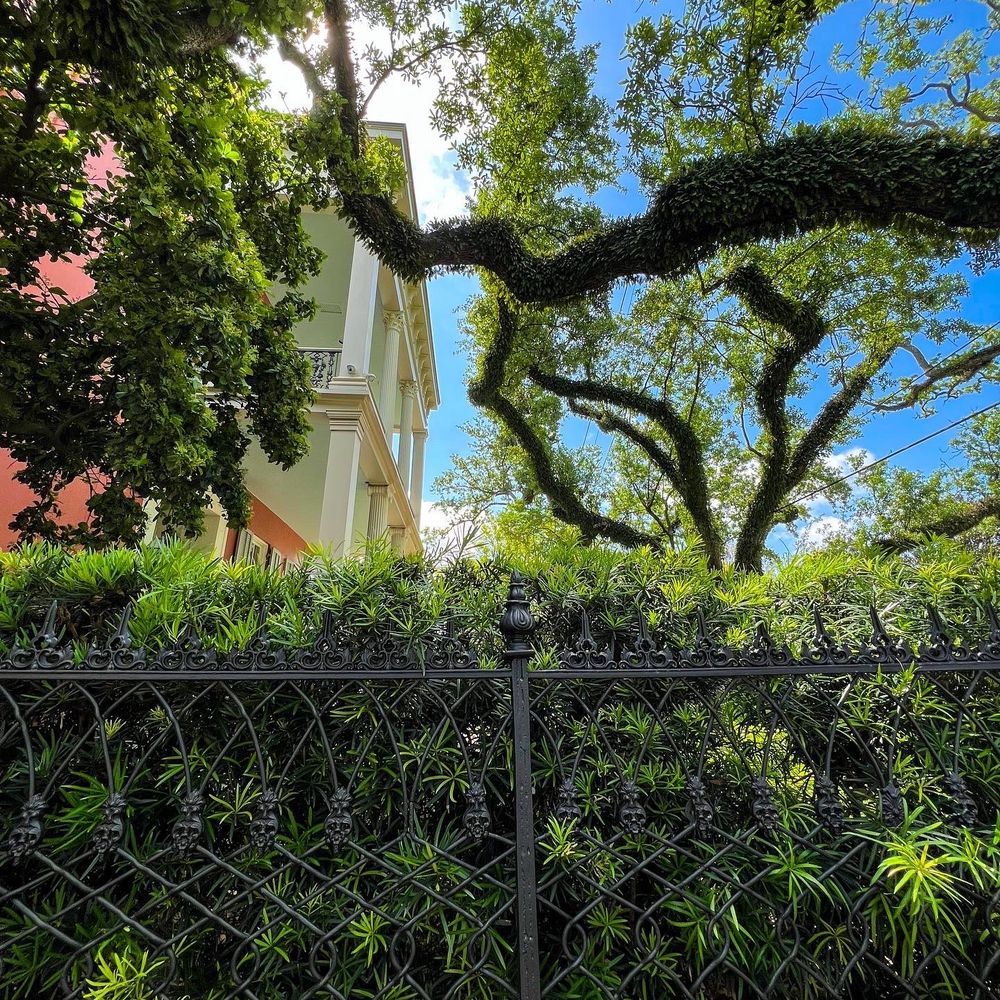 New Orleans Secrets Tours - Food Tours Near Me New Orleans Secrets Tours - Food Tours Near Me