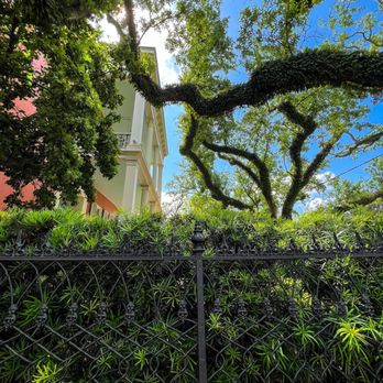 New Orleans Secrets Tours - Food Tours Near Me